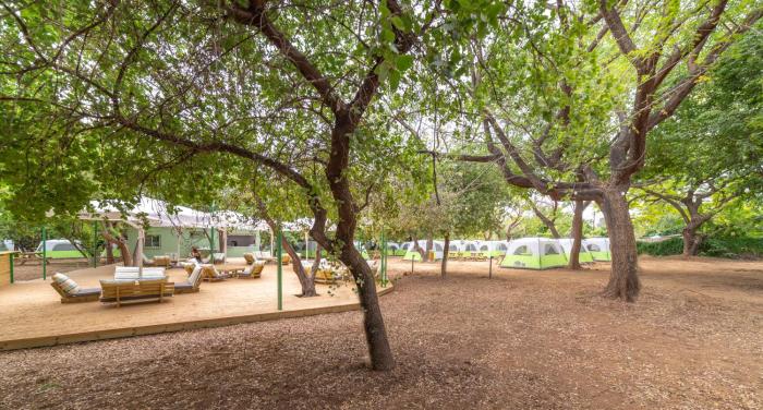 camping dafna by travel hotel chain