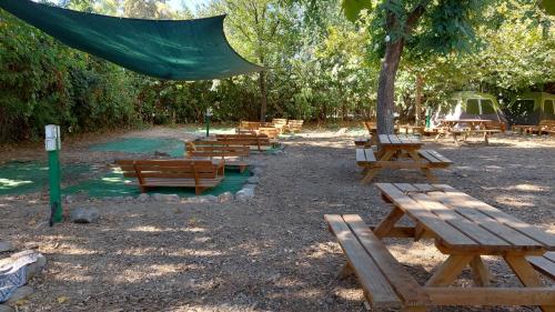 camping dafna by travel hotel chain