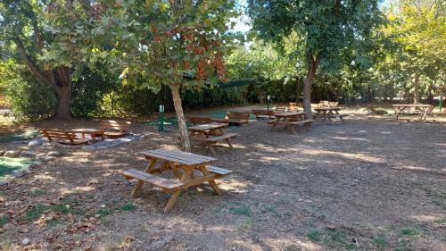 camping dafna by travel hotel chain