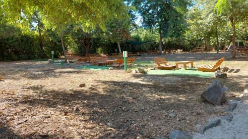 camping dafna by travel hotel chain