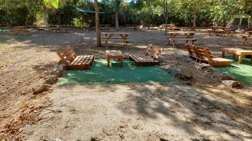 camping dafna by travel hotel chain