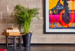 machne yehuda a member of brown hotels