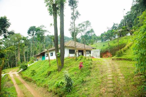 Room In Lodge - The Nest Bettathur, Coorg Ct 004,India>>Madikeri,3 star