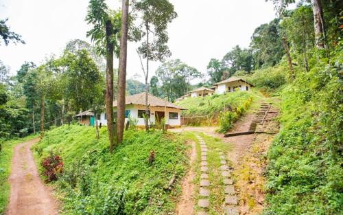 Room In Lodge - The Nest Bettathur, Coorg Ct 003,India>>Madikeri,2.5 star