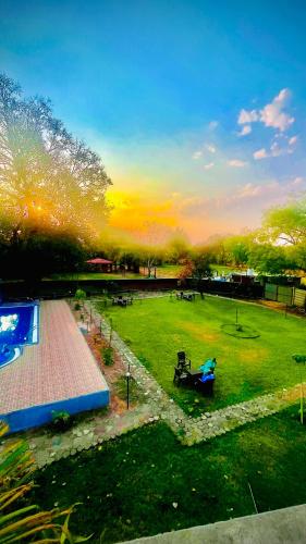 hotel jungle palace resort