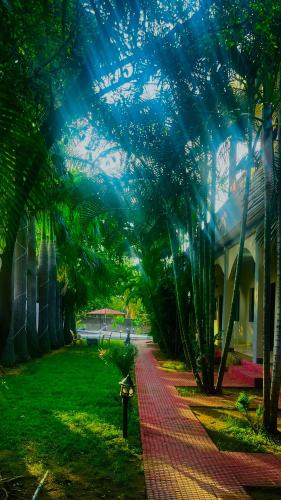 hotel jungle palace resort