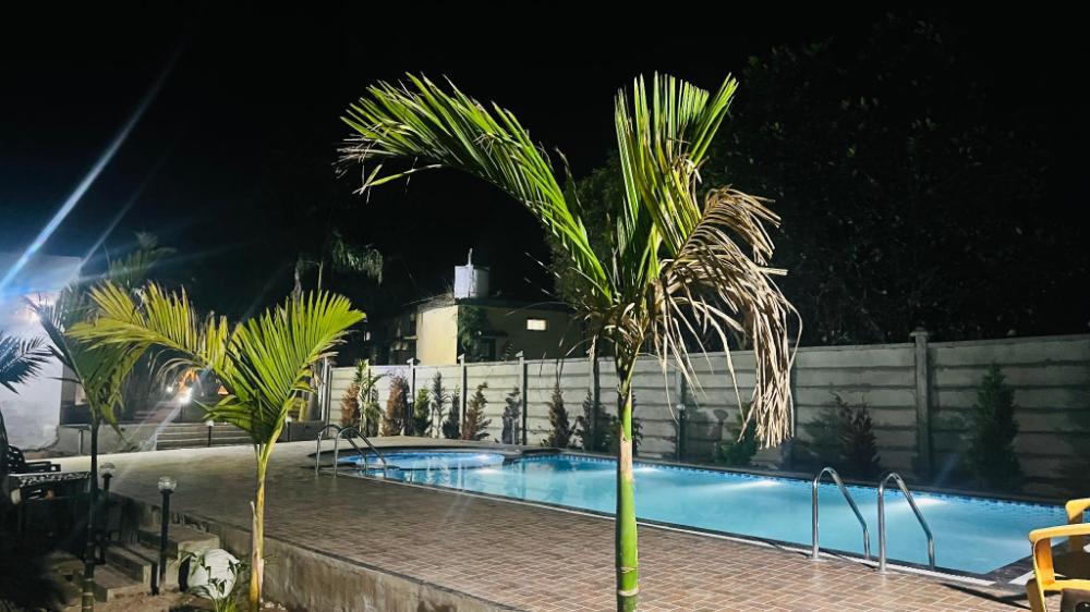 hotel jungle palace resort