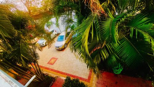 hotel jungle palace resort