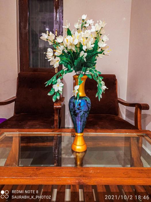 hotel jungle palace resort