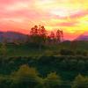 munnar
