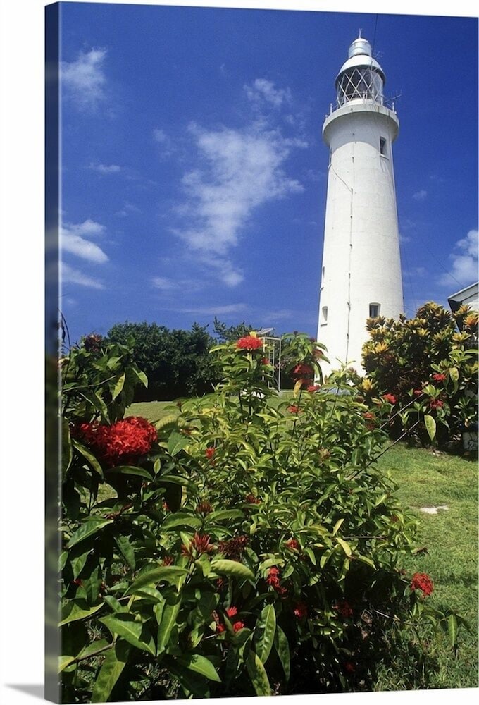 dela de rose guest house negril jamaica