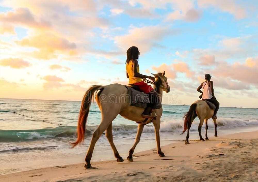dela de rose guest house negril jamaica