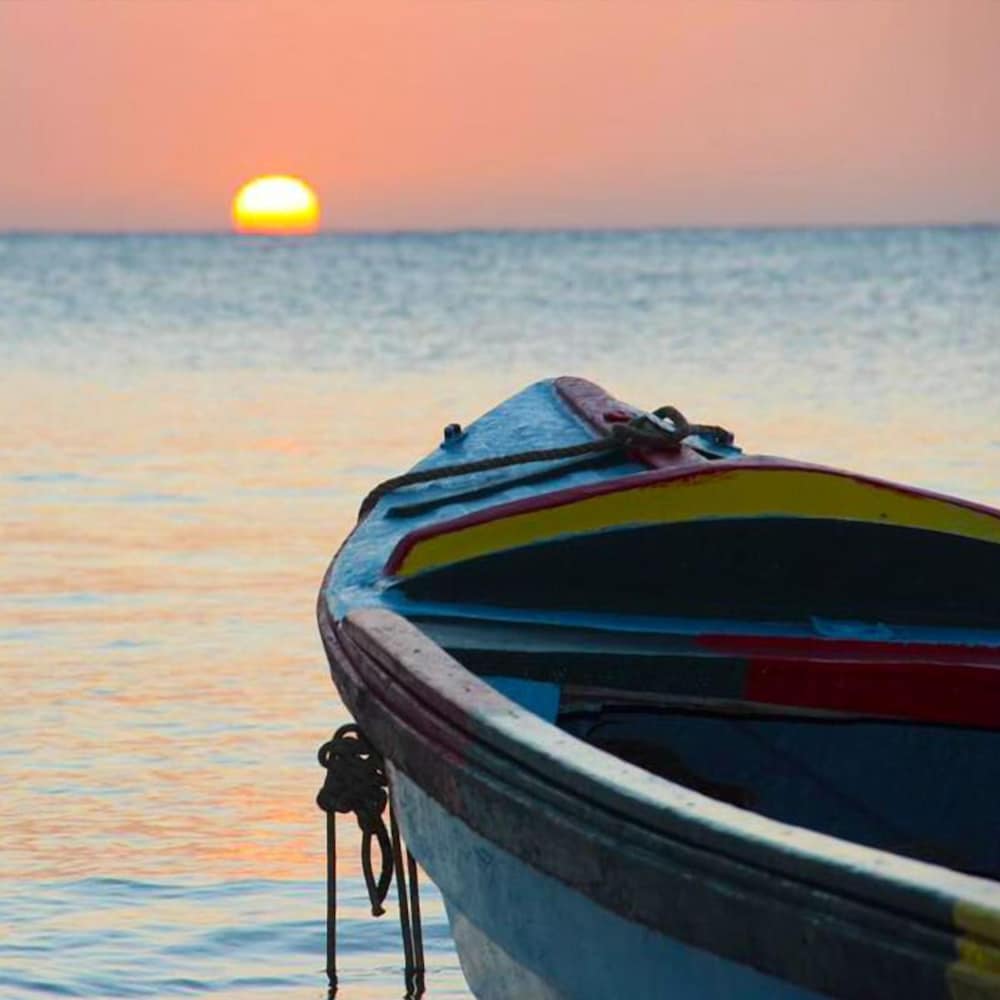 dela de rose guest house negril jamaica