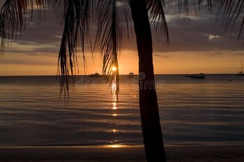 dela de rose guest house negril jamaica