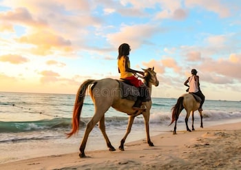 dela de rose guest house negril jamaica
