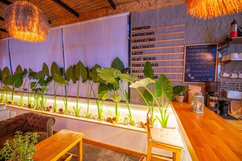 belci city residence