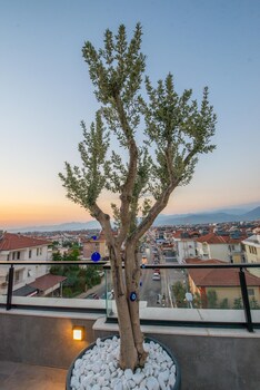 belci city residence