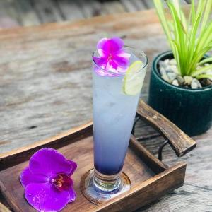 chai lai orchid mountain