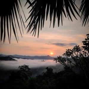 chai lai orchid mountain