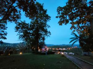 chai lai orchid mountain