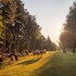 pohorje