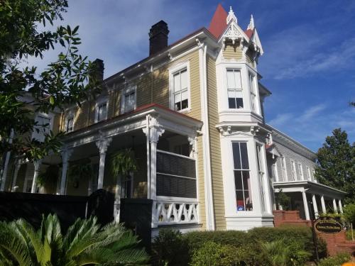 savannah