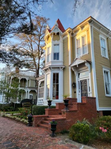 savannah