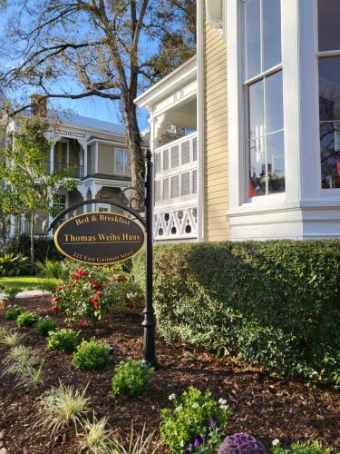 savannah