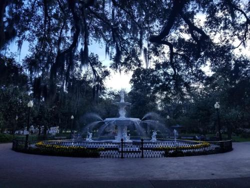 savannah