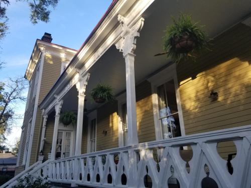 savannah