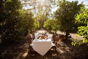 domes aulus zante autograph collection