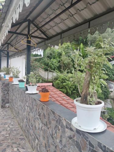 v c the namdul boutique hotel and spa