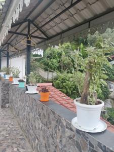 v c the namdul boutique hotel and spa