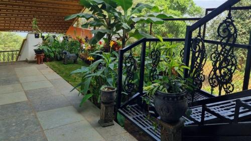 pune