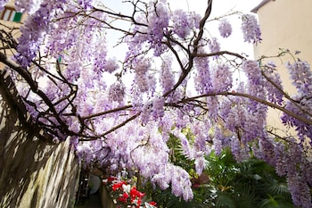 locanda orchidea bandb