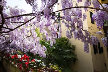 locanda orchidea bandb