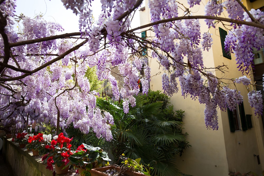 locanda orchidea bandb