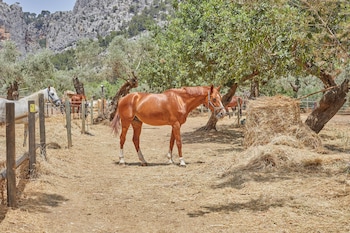 agroturismo alqueria blanca