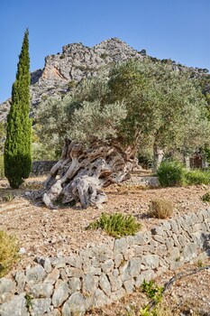 agroturismo alqueria blanca