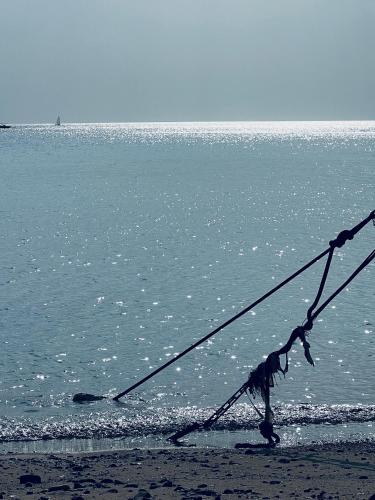 caesar premier eilat