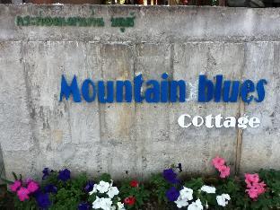 mountain blue cottage