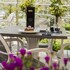 hotel mimosa maslinica hotels and resorts