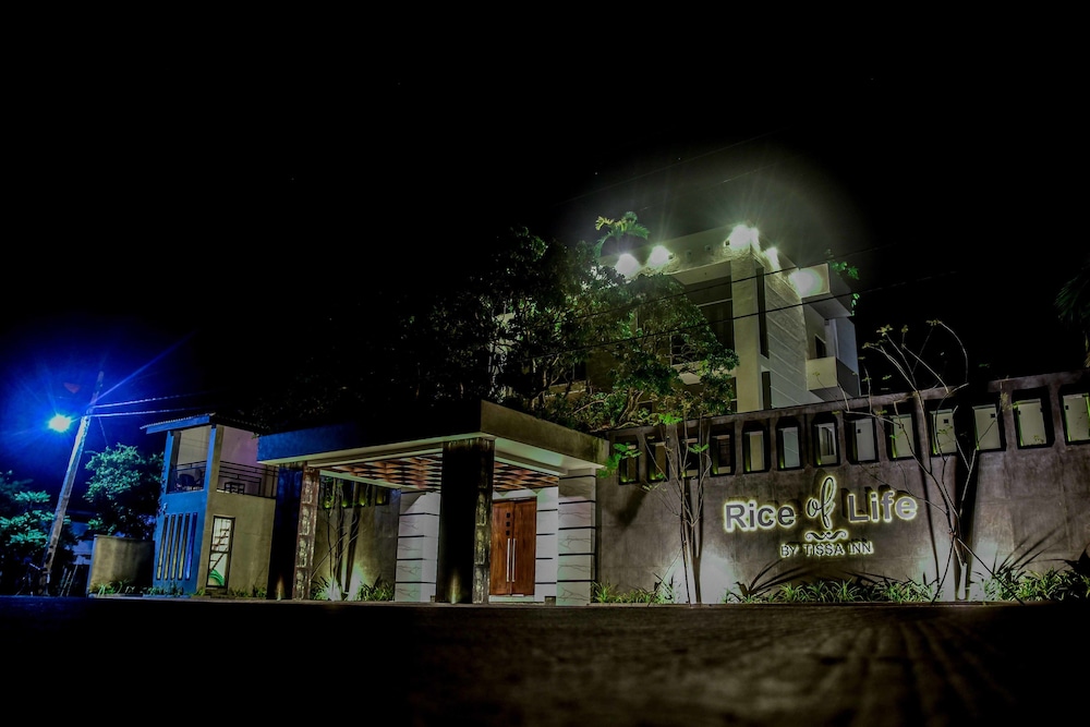 rice of life by tissa inn