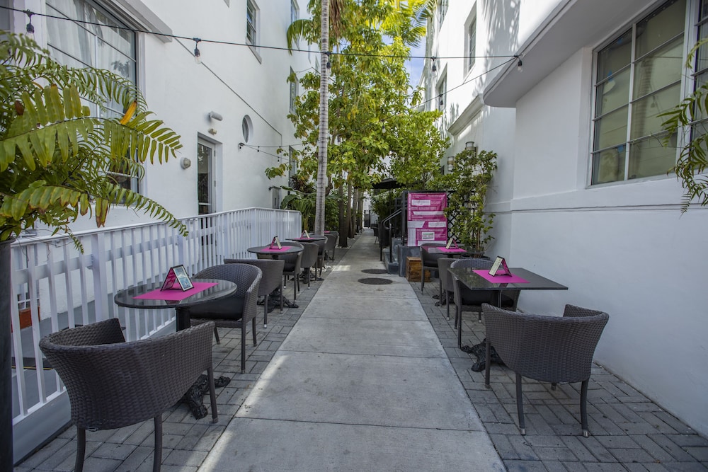posh south beach hostel a south beach group hotel
