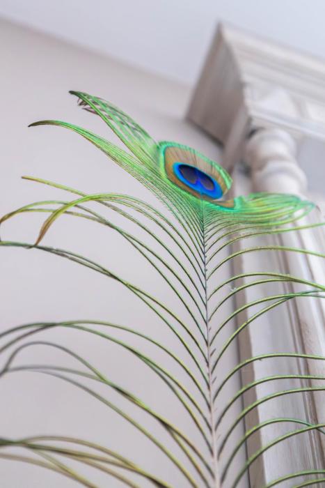 saint genis des fontaines