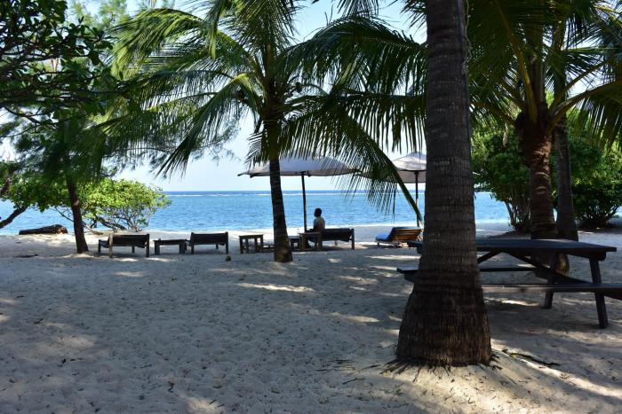 vipingo ridge swahili villa