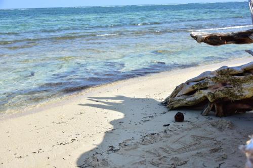 vipingo ridge swahili villa