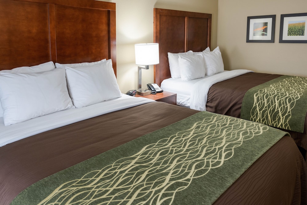 comfort inn and suites west medical center
