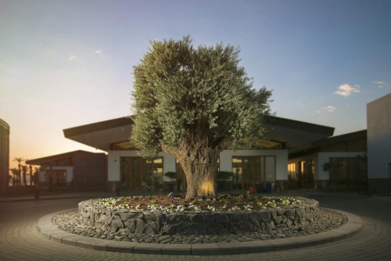 Setai Sea Of Galilee,Ein Gev>>Eilon,4 star