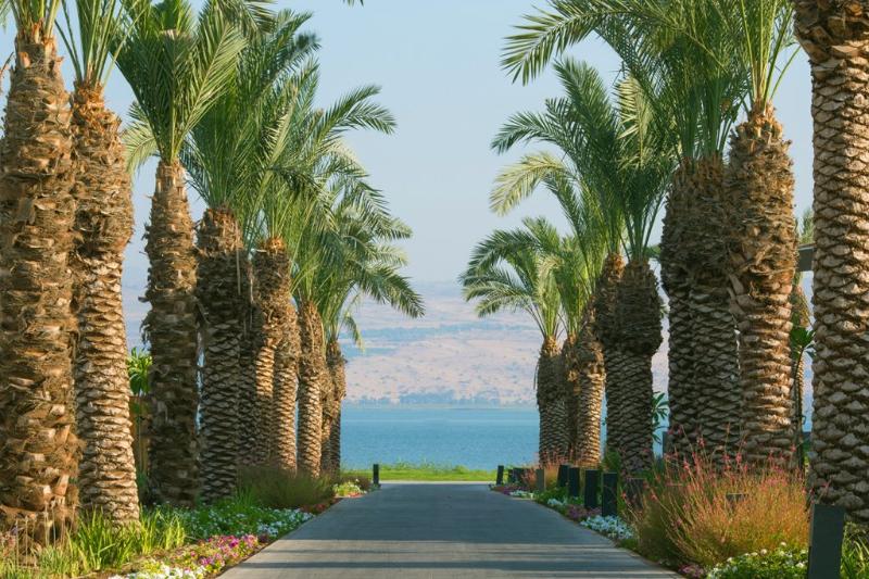Setai Sea Of Galilee,Ein Gev>>Eilon,4 star